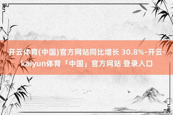 开云体育(中国)官方网站同比增长 30.8%-开云·kaiyun体育「中国」官方网站 登录入口
